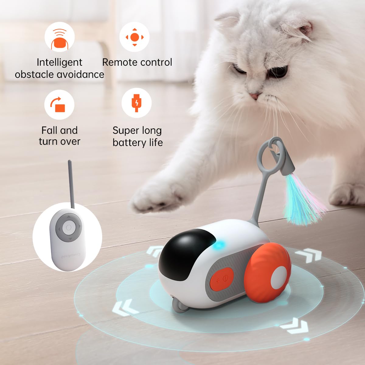 Cats and Remote Control Toys