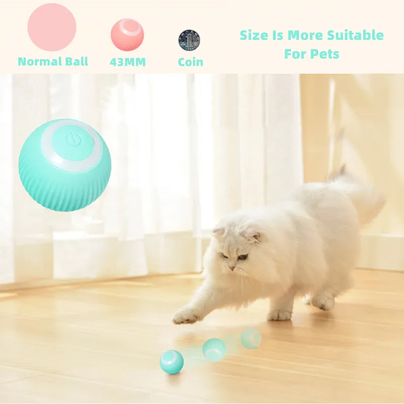 Electric Cat Ball Toys