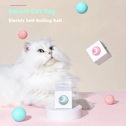 interactive cat toys