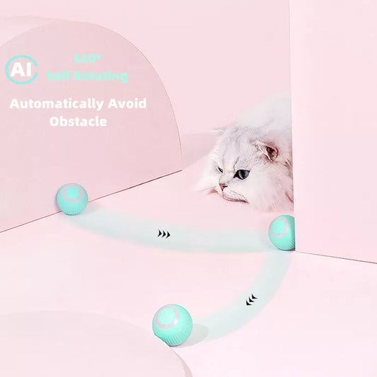 interactive cat toys