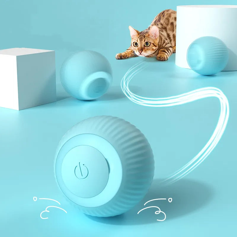 interactive cat toys