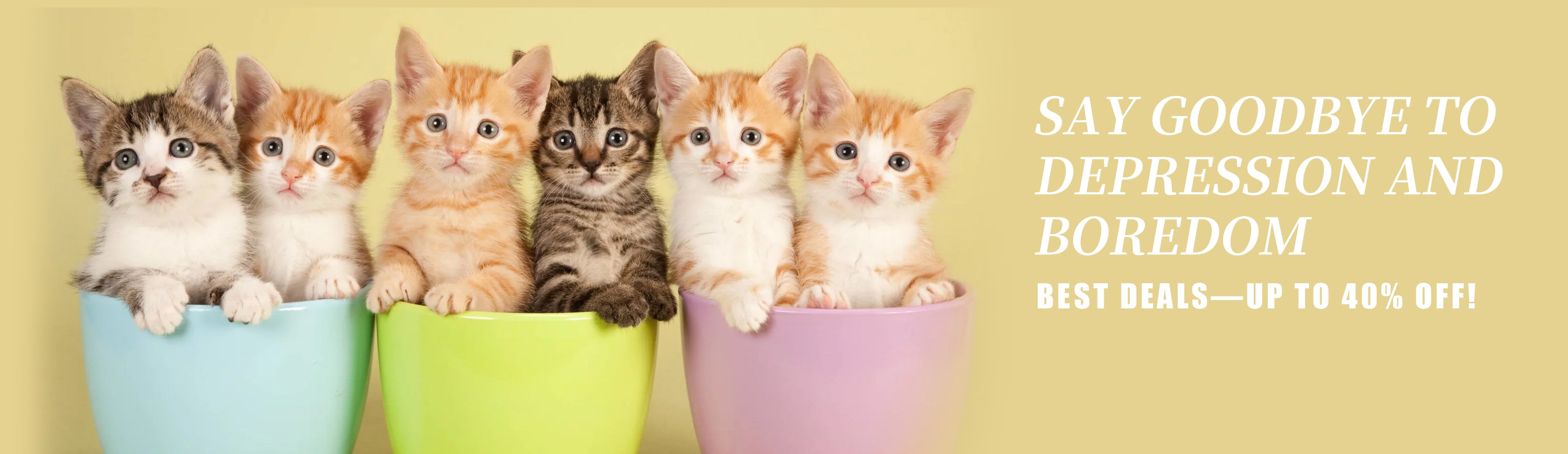 Six kittens in a bucket